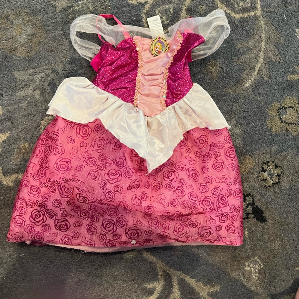 Disneys sleeping beauty costume